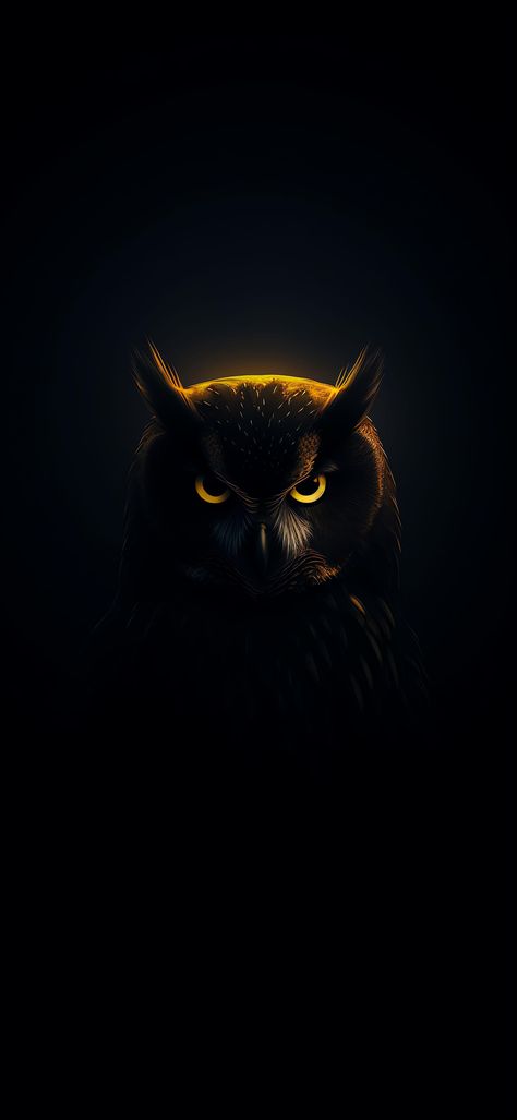 Owl Iphone Wallpaper, Beautiful Owls, Usa Wallpaper, Wallpapers Black, Taurus Zodiac Facts, Joker Face, Owl Images, Owl Wallpaper, Character Pictures