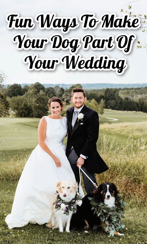 Dog Ring Bearer, Ring Bearer Dog, People Getting Married, Walk Down The Aisle, Dog Ring, Themed Drinks, Wedding Pets, Small Puppies, Dog Wedding