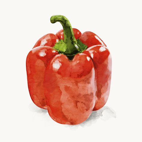 Watercolor tomato clipart, vegetable illustration | Premium PSD Illustration - rawpixel Pepper Watercolor, Tomato Clipart, Watercolor Tomatoes, Vegetable Drawing, Watercolor Food Illustration, Vegetable Painting, Vegetable Illustration, Learn Watercolor Painting, Learn Watercolor