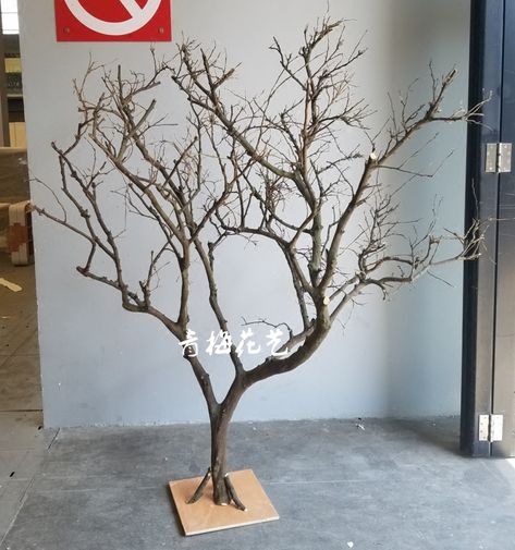 Dry Tree Branches Decoration, Branch Projects, Plum Blossom Art, Reunion Quotes, Tree Branch Crafts, Dried Tree Branches, Nature Cottage, Door Tree, Manzanita Tree