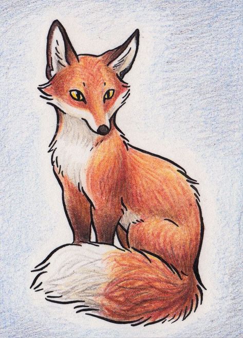 Animated Fox Drawing, Fenic Fox Drawing, Cartoon Fox Drawing Easy, Fox Anatomy Drawing, Fox Sketch Simple, Fox Simple Drawing, Fox Eyes Drawing, Fire Fox Art, Fox Ears Drawing