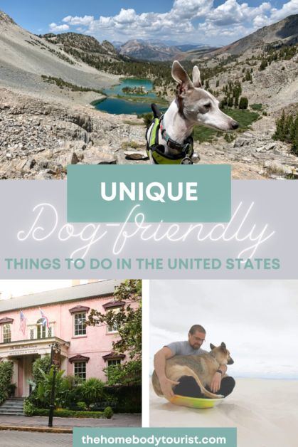 Dog Bucket List, Dog Travel Essentials, Road Trip With Dog, Traveling With Dogs, Dog Friendly Vacation, Traveling With Pets, Dog Friendly Beach, Best Road Trips, Us Road Trip