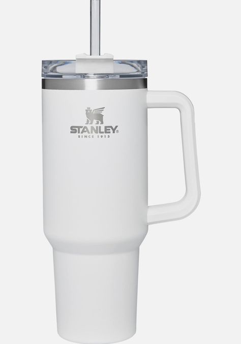 White Stanley, 2024 Era, Stanley Water Bottle, Stanley Adventure, Stanley Cups, Aesthetic Gift, Stanley Tumbler, Holiday List, Stanley Quencher