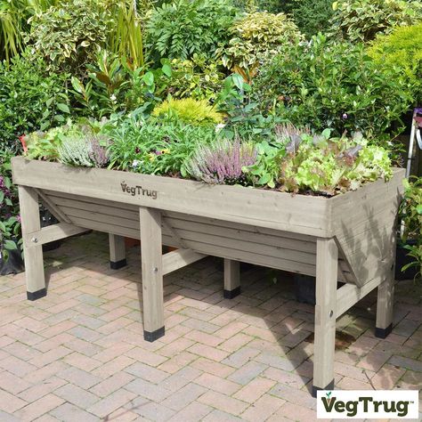 Planter Greenhouse, Veg Trug, Greenhouse Frame, Raised Garden Planters, Raised Planter Beds, Herb Planters, Raised Planter, Wooden Planters, Garden Pests