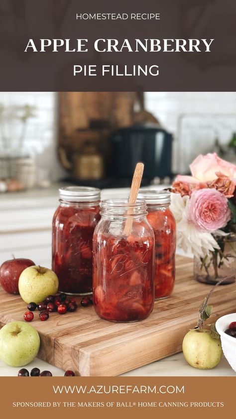 Apple Cranberry Pie Filling For Canning, Apple Pie Filling For Canning, Canned Apple Pie Filling Recipes Canning, Canned Pie Filling Recipes, Canning Recipes Apple Pie Filling, Apple Pie Filling Water Bath Canning, Fruit Pie Filling Recipes, Can You Freeze Homemade Apple Pie Filling, Cranberry Pie Filling