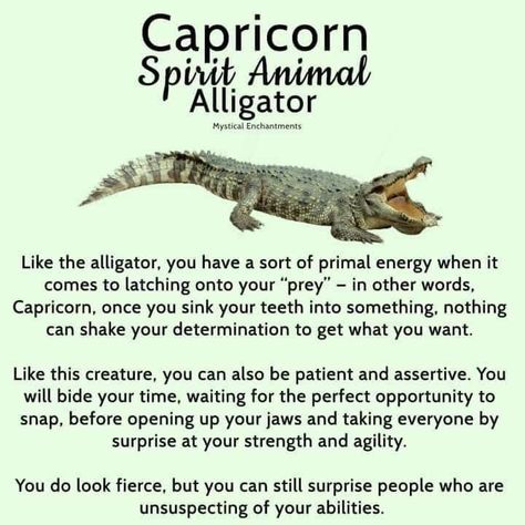 Capricorn Spirit Animal, Capricorn Personality, Spirit Animal Meaning, Animal Meanings, Scorpio And Capricorn, Capricorn Life, Chinese Astrology, Animal Symbolism, Zodiac Capricorn