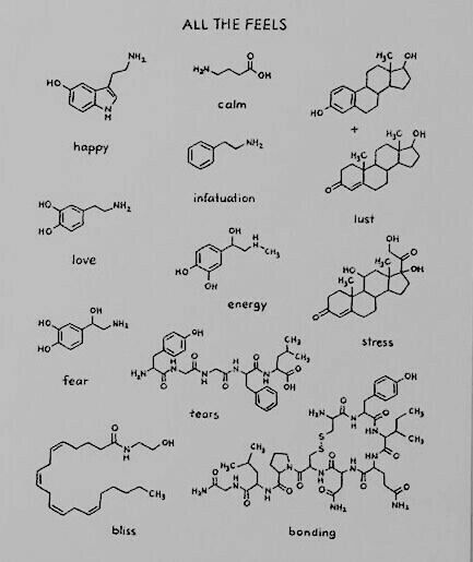 Intersecting Words Tattoo, Symbol For Loyalty Tattoo, Organic Molecule Tattoo, Small Chemistry Tattoos, Simple Science Tattoos, Dopamine Chemical Structure Tattoo, Tattoo Ideas Female Recovery, Ghost With Crown Tattoo, Fear Symbol Tattoo