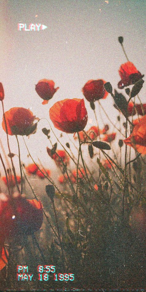 90s Aesthetic Wallpaper Iphone, 90s Iphone Wallpaper, Lockscreen Aesthetic Vintage 90s, Vhs Wallpaper, 90s Lockscreen, Poppy Wallpaper Iphone, 90s Wallpaper Aesthetic Vintage, Poppy Wallpaper Aesthetic, Poppy Iphone Wallpaper