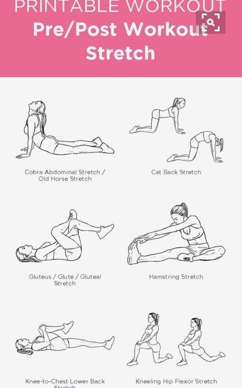 Beginner Female Gym Workout, Female Gym Workout, Gym Routine For Beginners Workout Plans, Weekly Gym Workouts, Beginners Gym Workout Plan, Workout Stretches, Female Gym, Post Workout Stretches, Workout Gym Routine