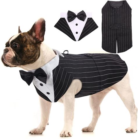 Dog In Suit, Dog Tux, Dog Wedding Outfits, Formal Dog, Whippet Puppies, Large Dog Clothes, Dog Tuxedo, Dog Suit, Whippet Dog