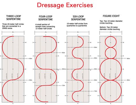 The basics of dressage focus on asking your horse to move forward into contact in a relaxed manner so you can create a connection. In the quest for connection, riders spend countless hours on the 20-meter circle. However, there are other figures and exercises you can use to avoid the boredom of repetitive circles. By … Dressage Exercises Training, Horse Jumping Exercises, Dressage Exercises, Dressage Arena, Horse Training Exercises, Horse Lessons, Dressage Training, Horse Exercises, Horse Riding Tips