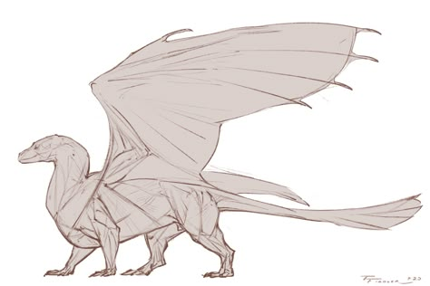 Dragon Anatomy Reference, Dragon Anatomy Design Reference, Dragon Reference Pose, Dragon Base Poses, Dragon Reference Drawing, Dragon Side View, Dragon Body Reference, Dragon Oc Design, Taran Fiddler