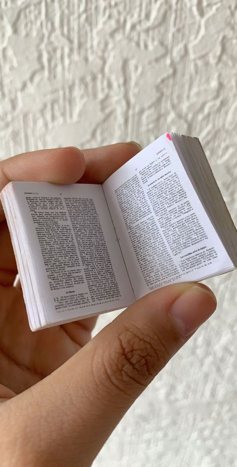 Asthetic Stationery, Holy Bible Book, Mini Bible, Bible Book, Pity Party, Miniature Doll, Mini Book, Mini Things, Toy Box