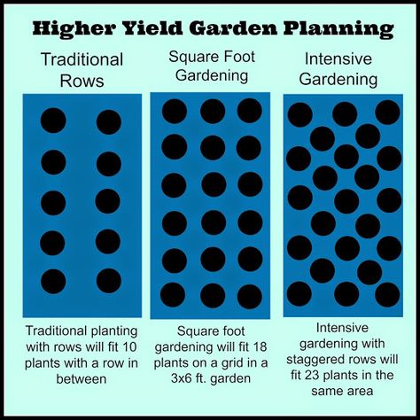 Garden Must Haves Vegetable, Small Plot Garden Ideas, French Intensive Gardening Layout, Compact Vegetable Garden, Intensive Planting Vegetable Garden, Small Veggie Garden Layout, Intercropping Vegetable Garden Layout, 10x10 Garden Layout, Intensive Gardening Layout