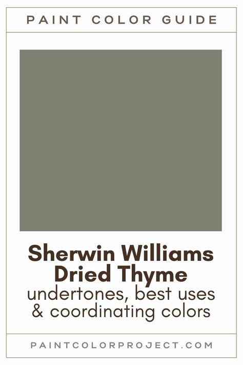 Searching for the ideal dark green paint for your home? My in-depth review of Sherwin Williams Dried Thyme has got you covered! Sherwin Dried Thyme, Sw Olive Green Paint, Perilous Grey Sherwin Williams, Green Door Brown House, Sherwin Williams Rocky River Exterior, Sherwin Williams Gray Green Exterior, Sherwin Williams Dried Edamame, Sw Secret Garden Paint, Jasper Stone Sherwin Williams Cabinets