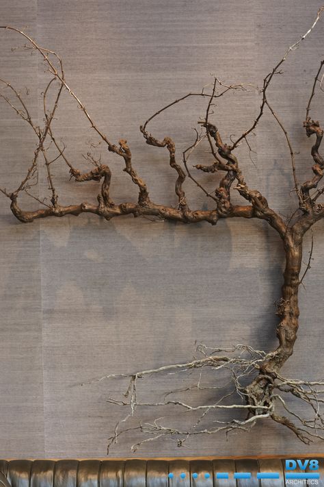 Ellerman Wine gallery. Close up view of bronze vine sculpture by Nic Bladen Vine Sculpture, Grape Vine Art, Interior Trees, Grapewood Branch, Wine Gallery, Home Decor Business Ideas, Ba Na Hills, Decor Business Ideas, Wine Vine