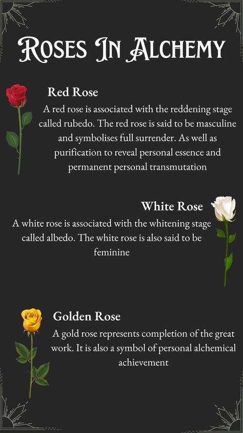 Red Rose Symbolism Meaning, Roses Witchcraft Uses, Rose Symbolism Meaning, Calcination Alchemy, Rose Correspondence, Roses In Witchcraft, Roses Witchcraft, Roses Symbolism, Rose Spiritual Meaning