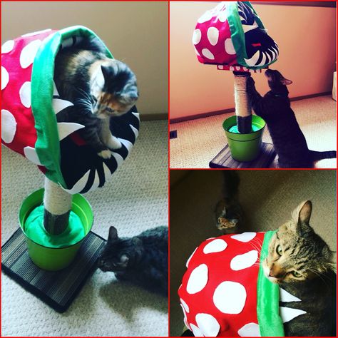 Super Mario piranha plant cat bed / scratch post . DIY project Mario Cat Wall, Super Mario Cat, Super Mario Piranha Plant, Mario Ideas, Mario Piranha Plant, Cat Trees Homemade, Mario Wall, Hamsters As Pets, Best Cat Breeds