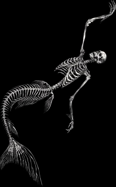 Mermaid Skeleton, Skeleton Drawings, Skeleton Tattoos, Mermaid Drawings, Mermaid Tattoo, Black Mermaid, Skeleton Art, Arte Inspo, Simplistic Tattoos