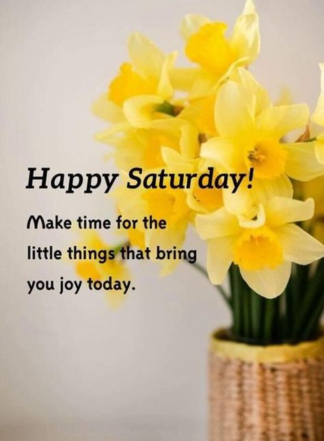 Good Morning Saturday Images with Beautiful Quotes 19 Saturday Morning Inspirational Quotes, Saturday Morning Images, Saturday Morning Greetings, Happy Morning Images, Good Morning Saturday Wishes, Happy Saturday Pictures, Good Morning Saturday Images, Happy Saturday Quotes, Saturday Morning Quotes