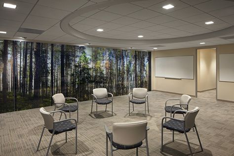 Counselling Room Design, Counselling Room, Mental Health Clinic, Betty Ford, Medical Office Design, Healthcare Architecture, Hospital Interior, Clinic Interior Design, Therapy Office Decor