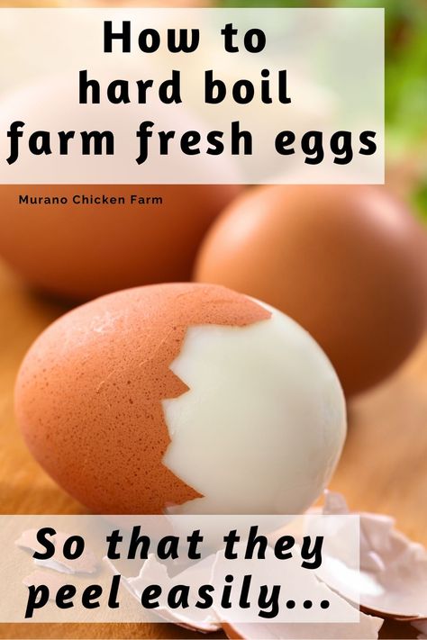 Hard Boil Fresh Eggs, Peeling Hard Boiled Eggs, Backyard Chicken Farming, Raising Backyard Chickens, Chicken Garden, Farm Eggs, Fresh Chicken, Farm Fresh Eggs, Chicken Diy