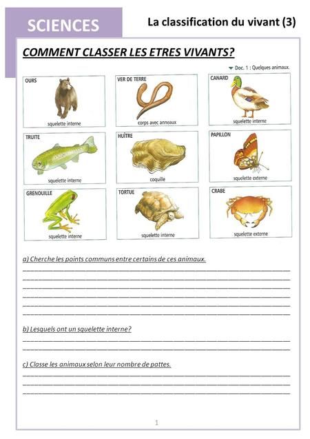 SCIENCES La classification du vivant (3) 1 COMMENT CLASSER LES ETRES VIVANTS? a) Cherche les points communs entre certains de ces animaux. _________________________________________________________________________. Grade 3 Science, Grade 2 Science, French Teaching Resources, Core French, French Education, French Classroom, French Immersion, Cycle 3, Teaching French