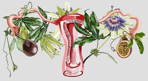 1,485 Likes, 12 Comments - herperiodtexas@gmail.com (@her.period) on Instagram: “The lovely uterus. By @giadafiorindi. #uterus #botanical #thesource #botanicalillustration…” Uterus Flowers, Uterus Art, Proud To Be A Woman, Medical Drawings, Pregnancy Art, Flowers Illustration, Medical Art, Sacred Feminine, Naturopathy