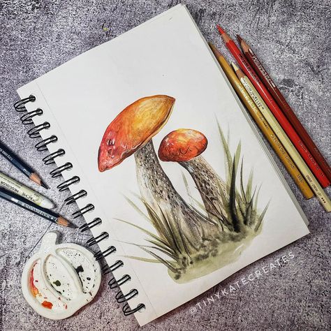 Red-capped scaber stalk 🧡 Getting ready for our shroom art challange in September! Watercolors and watercolor pencils. #illustration #illustrator #childrensbookillustration #watercolormushrooms #watercolorillustration #digitalmushroom #sketchbook #watercolors #watercolorart #illustrator #illustrationartists #illustratorsoninstagram #illustrationartist #mycology #mycologyart September Watercolor, Shroom Art, Red Cap, Illustrators On Instagram, Watercolor Pencils, Illustration Artists, Children's Book Illustration, Watercolor Illustration, Getting Ready