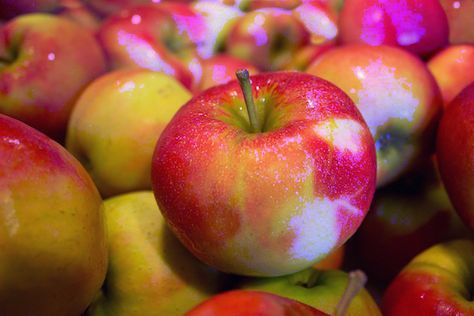 Has it been a great year for apples? Learn how to use them to make apple sugar… Constipation Smoothie, Fructose Intolerance, Mcintosh Apples, Apple Festival, Apple Varieties, Plant Science, Fall Apples, Fiber Foods, Snacks Für Party