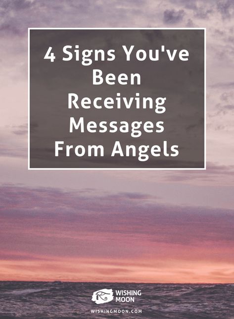 Angel Signs Messages, Spirit Guide Signs, Reiki Attunement, Spirit Guide Messages, Feather Meaning, Signs From Heaven, Messages From Heaven, Angel Spirit, Spirit Signs