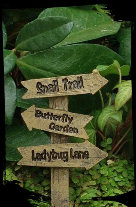 Fairy Garden Sign, Garden Snail, Snails In Garden, Fairy Garden Designs, Fairy Garden Crafts, Garden Types, Diy Garden Furniture, Diy Fairy, Fairy Garden Accessories