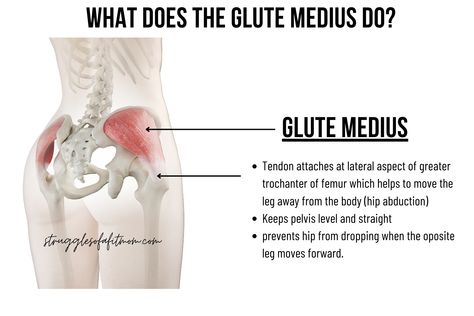 21 Best Glute Medius Exercises for a Strong, More Balanced Body Glute Minimus Workout, Glute Medius Exercises, Glute Minimus, Tone Glutes, Toned Glutes, Greater Trochanter, Glute Medius, Gluteus Medius, Improve Posture