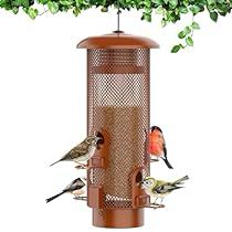 Metal Squirrel, Squirrel Home, Squirrel Proof Bird Feeders, Bird Seed Feeders, Bird Facts, Wild Bird Feeders, Wild Bird, Outdoor Decor Backyard, Bird Seed