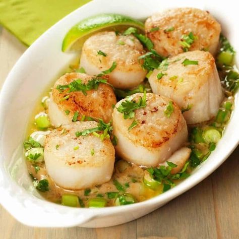 Best Scallop Recipe, Cook Scallops, Shrimp And Scallop Recipes, Easy Scallop Recipes, Scallops Recipe, How To Cook Scallops, Baked Scallops, Cream Sauce Recipes, Seared Scallops