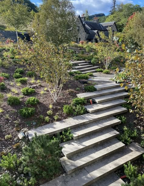 Garden Steps Ideas, Floating Steps, Landscape Stairs, Landscaping On A Hill, Ideas For Garden, Australian Native Garden, Hillside Garden, Garden Stairs, View From Above