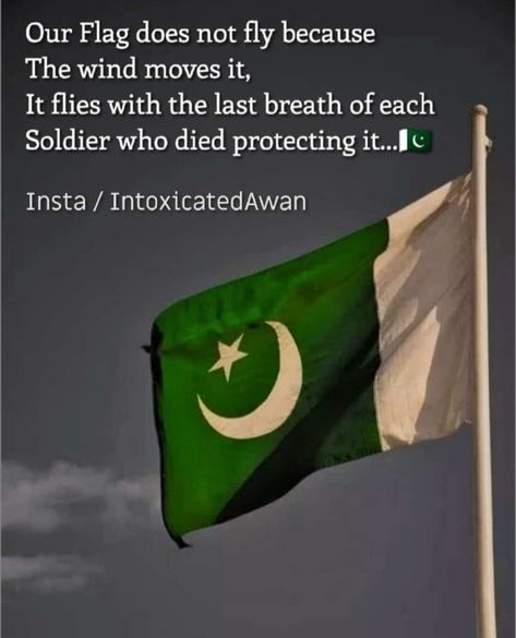 Pakistan independence day pakistani flag pakarmy soldiers patriots quotes Pak Independence Day, 23 March Pakistan Day Quotes, Pakistani Quotes, Defense Day Pakistan Quotes, Quotes About Pakistan, 6 September Defence Day Pakistan Quotes, Pakistani Independence Day, Pakistan Quotes, Pakistan Independence Day Quotes