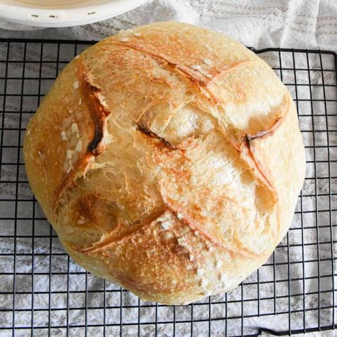 Speedy Same Day Sourdough Bread Recipe (Easy to Make) - Stretch and Folds Crusty Bread Recipe, Easy Sourdough Bread Recipe, Oven Bread, Dutch Oven Bread, Homemade Sourdough Bread, Pain Au Levain, Baked Roast, Rustic Bread, Sourdough Bread Recipe