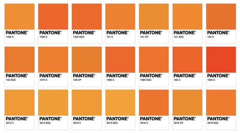 Orange Pantone, Pantone Orange, Sightseeing Bus, Orange You Glad, Shades Of Orange, Feeling Happy, Pantone Color, Modern Colors, Refreshing Drinks