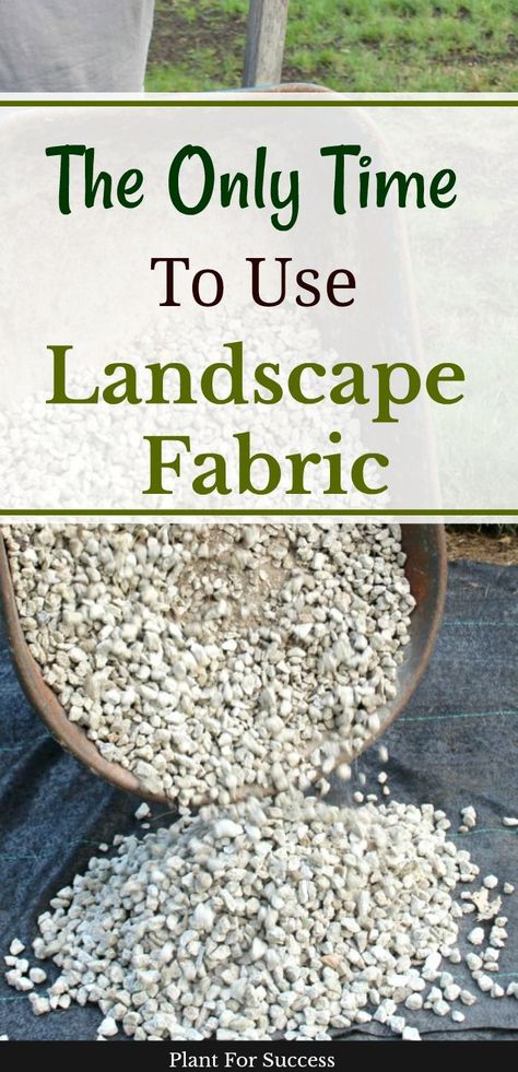 Fabric Landscape, Rock Mulch, Increase Curb Appeal, Landscaping Rock, Trees Landscaping, Landscaping Around Trees, Mulch Landscaping, Landscaping With Large Rocks Front Yard, Landscaping With Large Rocks Natural