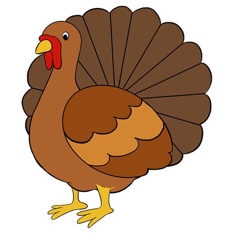 How to Draw Turkey: Step 10 Simple Turkey Drawing, Easy Turkey Drawing, Thanksgiving Drawings, Turkey Drawing, Turkey Cartoon, Chicken Drawing, Turkey Images, Turkey Bird, Fall Drawings