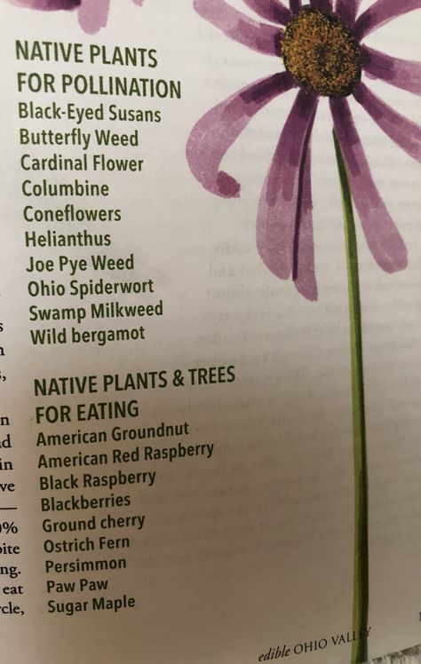 Ohio Native Plants, Ohio Flowers, Swamp Milkweed, Cardinal Flower, Plant Guide, Plant Identification, Black Raspberry, Edible Plants, Grow Your Own Food