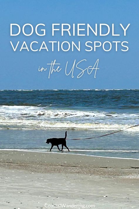 Discover the best dog-friendly vacation spots for your next adventure! Explore pet-friendly destinations, hotels, and beaches perfect for a vacation with your dog. Find tips for planning road trips with your dog and making the most of your pet-friendly vacations. Planning a beach trip with your dog? Check out these top dog-friendly beaches and vacation ideas. From coastal getaways to pet-friendly hotels, these destinations are perfect for your next dog-friendly road trip or flight. Dog Friendly Vacation, Edisto Beach, Pet Friendly Vacations, Dog Friendly Beach, Dog Friendly Hotels, Cruise Excursions, South Carolina Beaches, Usa Travel Guide, Us Travel Destinations