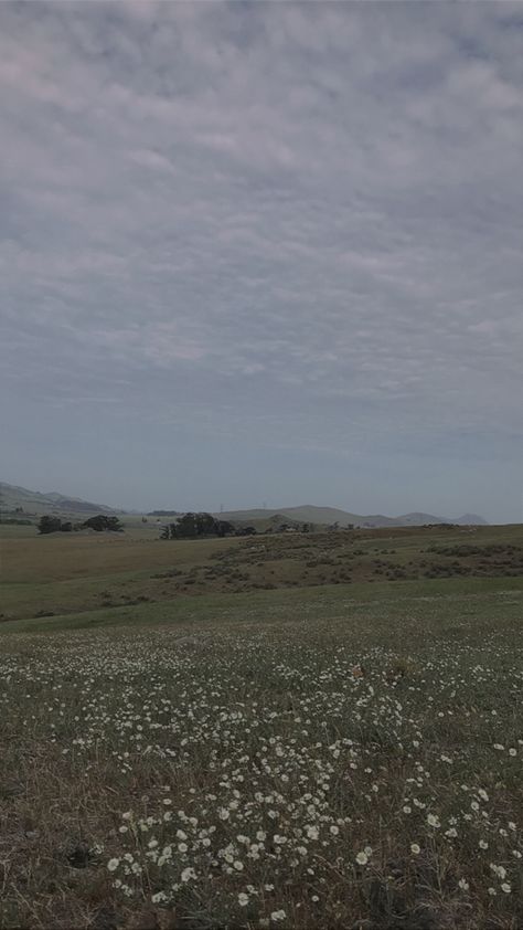 Stormy Flower Field, Rain Field Aesthetic, Stormy Spring Aesthetic, Foggy Flower Field Aesthetic, Plain Field Aesthetic, Endless Field, Aesthetic Fields Of Flowers, Rainy Field Aesthetic, Flower Field Background