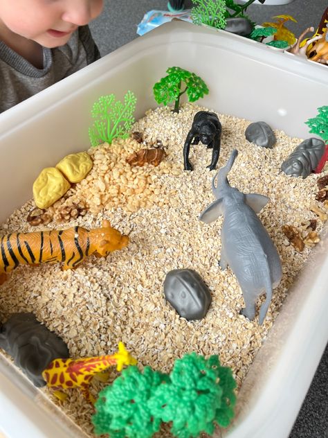 A tray lined with oats and rice cereal, with small plastic animals standing around the endges Sensory Rice Bin Ideas, Animal Sensory Bin, Feelings Activities Preschool, Baby Room Activities, Jungle Activities, Trofast Ikea, Diy Sensory Board, Sensory Play Toddlers, Lesson Plans For Toddlers