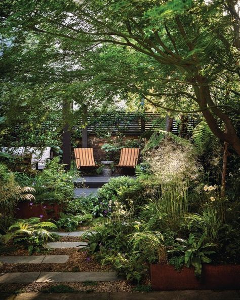 A tiny, tranquil city sanctuary garden designed by @HarryHoldingstudio that makes the most of its shady situation. 🕶️ For this small London garden, designer Harry Holding has taken inspiration from the lush textures of tropical forests to create an urban woodland oasis. “We knew we were lucky to have a decent-size garden in inner city London,” says owner Tara Moss, who lives here with her husband and two teenage sons. “But we never really used the space before – it just didn’t work for us.... Small Secret Garden, Small London Garden, Sanctuary Garden, Garden Ideas Uk, Small City Garden, Tropical Forests, Back Garden Design, London Garden, Garden Designer