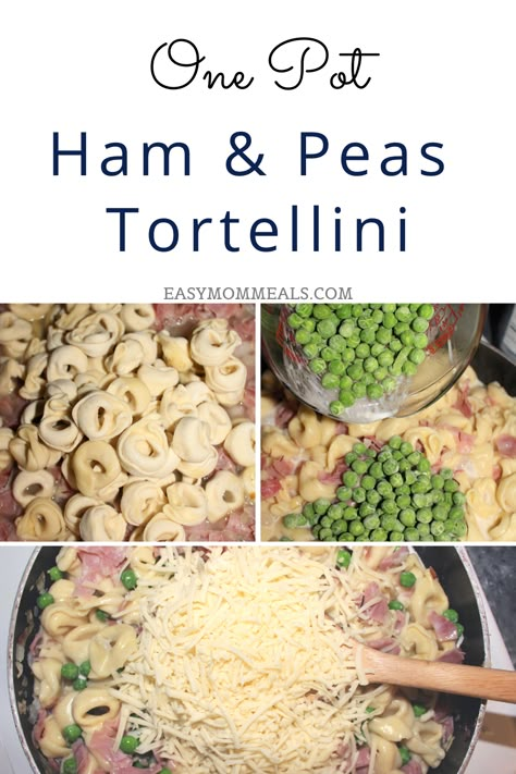 Ham And Peas Tortellini, Ham And Pea Tortellini, Ham And Cheese Tortellini Recipes, Tortellini And Ham Recipes, Tortellini Ham And Peas, Tortellini Recipes With Peas, Ham Tortellini Recipes, Tortellini With Ham And Peas, Ham And Tortellini Recipes