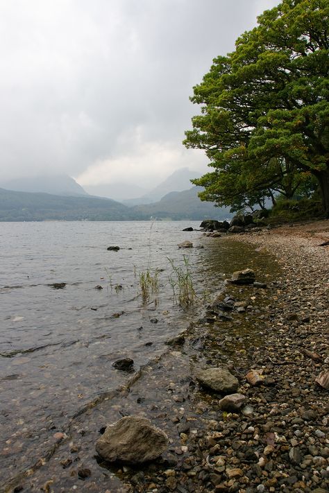 Loch Lomond Scotland, Stirling Scotland, West Highland Way, Beach Village, Pipe Wrench, Utah Family Photographer, Scotland Highlands, Loch Lomond, Dog Chew