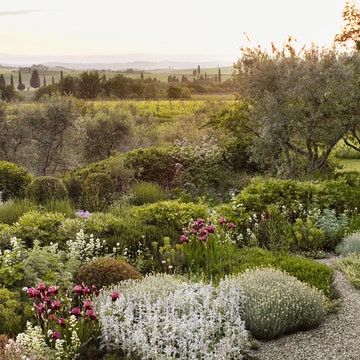 Herb Garden Ideas, Helichrysum Italicum, Tuscan Garden, Rose Varieties, London Garden, Italian Garden, Have Inspiration, Mediterranean Garden, Top Soil