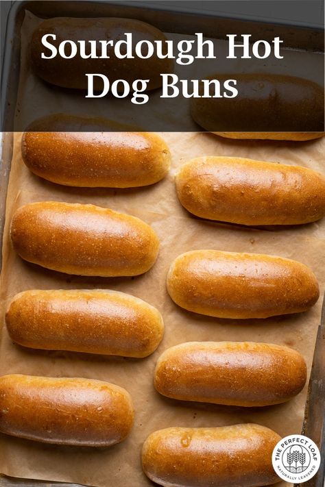 Easy and delicious sourdough hot dog buns—easy and delicious! Sourdough Hot Dog Buns, Sour Dough Bread Starter Recipe, Homemade Hot Dog Buns, Hot Dog Buns Recipe, Homemade Hot Dogs, The Perfect Loaf, Sourdough Bread Starter, Dog Bread, Dough Starter